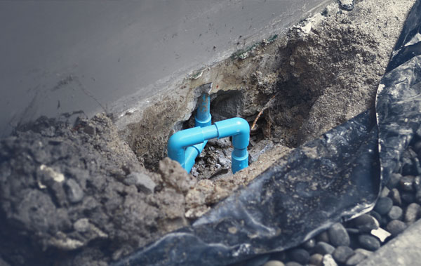 堅持技術安全與品質把關